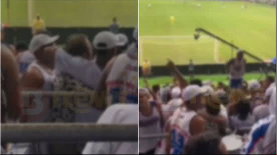 Divulgação